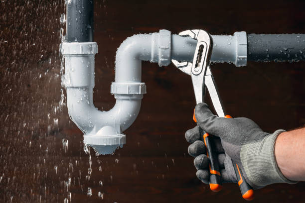 Professional Plumbing technician working in Leaf River, IL